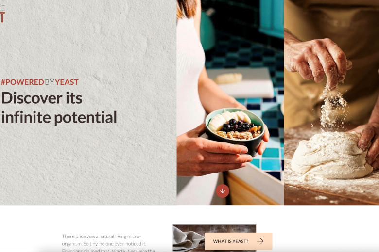 Lesaffre updates yeast education platform - Baking & Biscuit