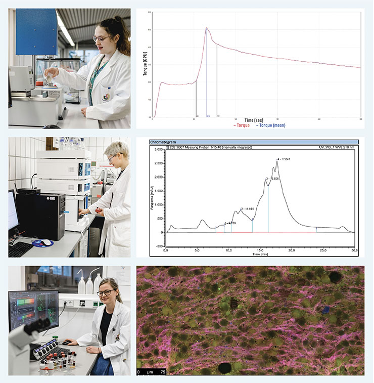 bbi-22-02-science-flour-analytics-figure1