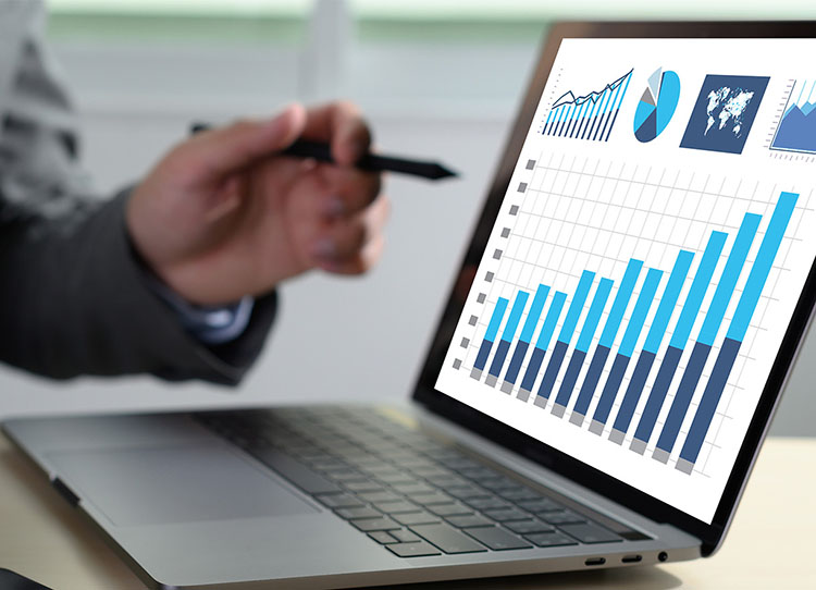 bbi-23-01-VMI-octopus