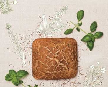 f2m backaldrin sabia 2.0