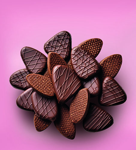 f2m-bbi-01-24-chocolate-chocolate pieces