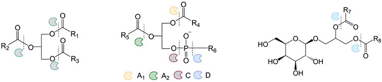 f2m-bbi-04-24-science-figure 1