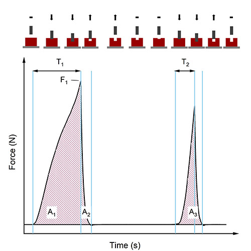 f2m-bbi-04-24-science-figure 2