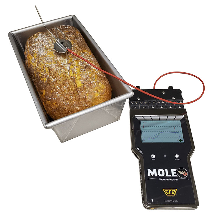 f2m-bbi-04-25-IBIE 2025 special-ECD