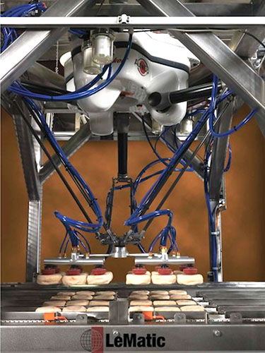 f2m-bbi-05-25-Robotics-custom-solution