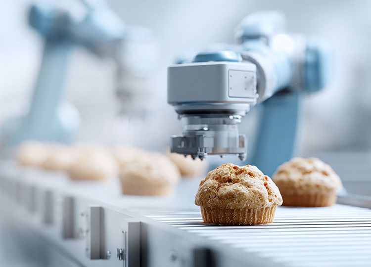 f2m-bbi-05-25-Robotics-intelligent-handling