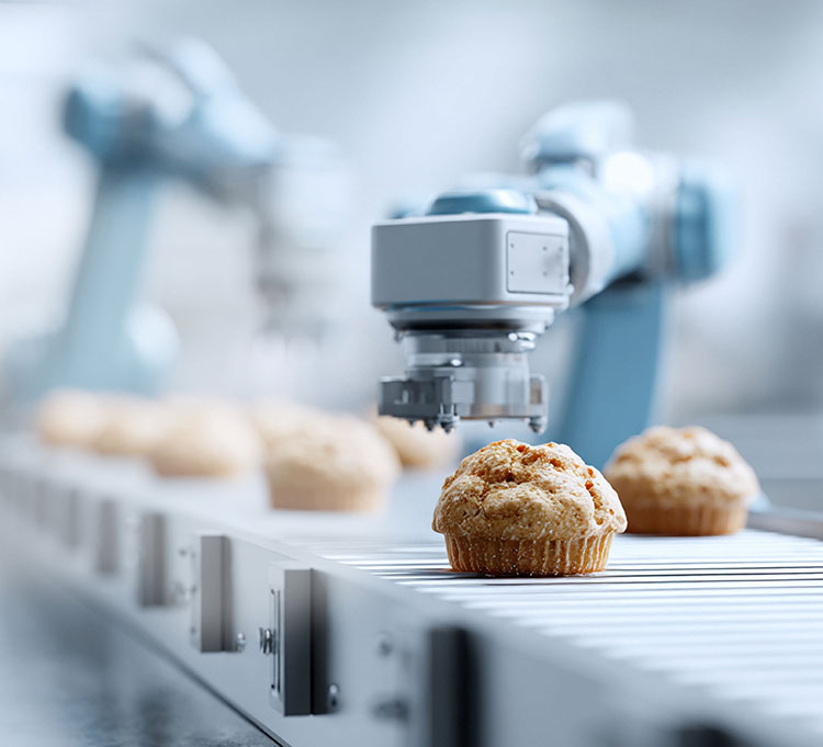 f2m-bbi-05-25-Robotics-intelligent-handling