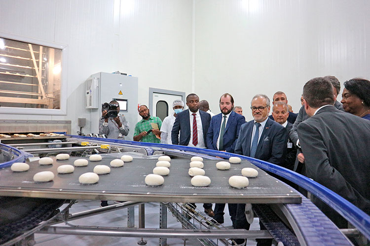 f2m-bbi-19-04-Production-2019-02-06_Mecatherm_Inauguration_Dimassaba_2