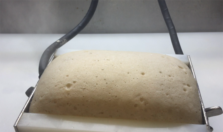 f2m-bbi-2020-01-01-Ohmic-dough