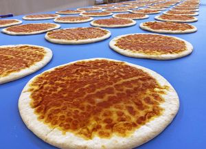 f2m-bbi-24-05-pizza and flatbread lines-Pizza bases