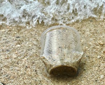 f2m plastic pollution pexels