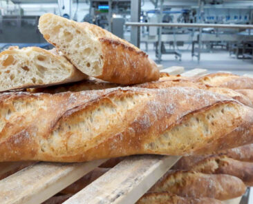 f2m_FRITSCH_pointed_baguettes