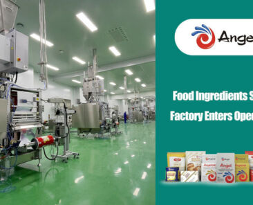 Angel Yeast’s New Food Ingredients Smart Factory Enters Operation