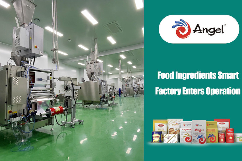 f2m_angel_yeast_smart_factory_web