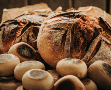 f2m_sourdough_bread_buns
