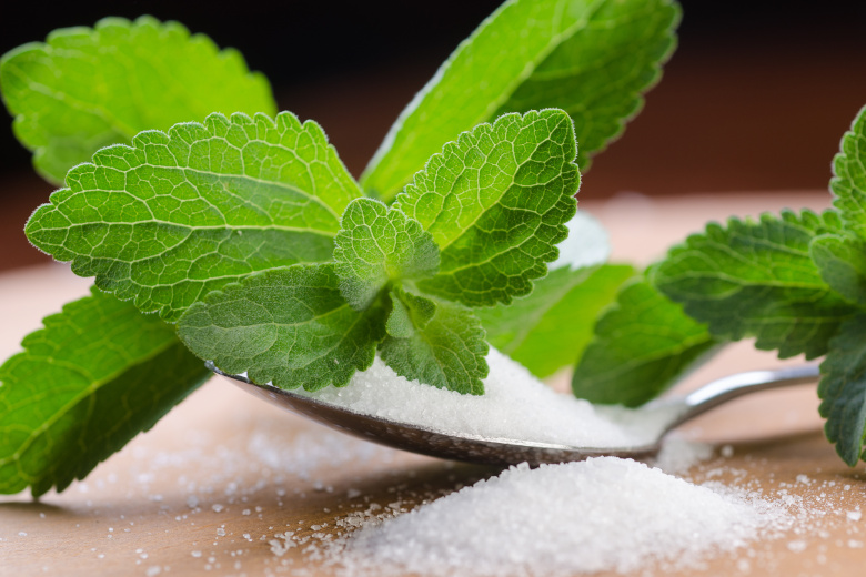 stevia plant sugar